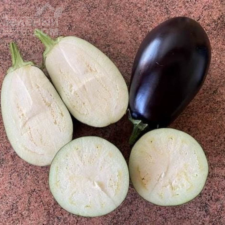 Рафаела F1 / Rafaela F1, 65 днів фото 3