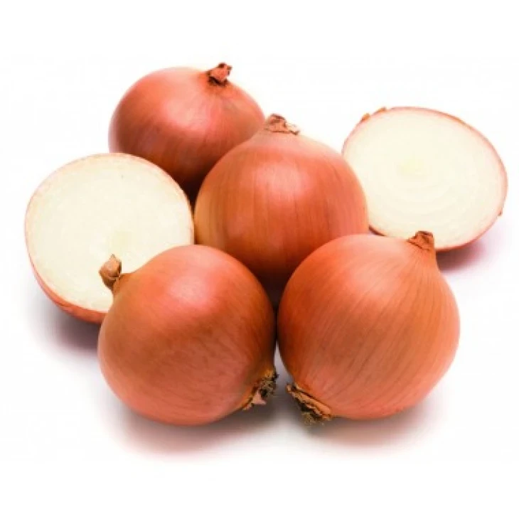 Миннесота F1 / Minnesota F1,118-123 дня фото 1