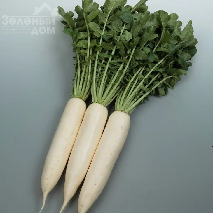 Сноубьорд F1 / Snouberd F1, 60 дней фото 1