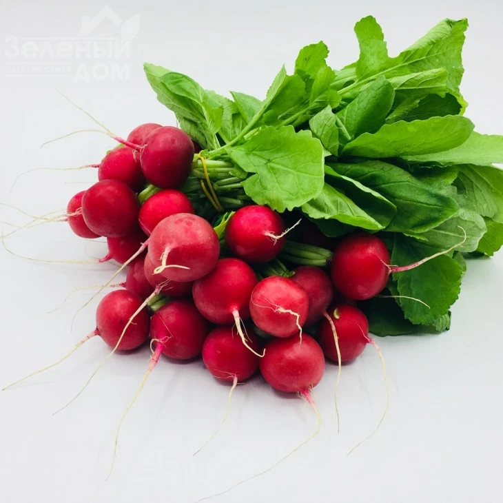 Прада F1 / Prada F1, 25-35 дней фото 1