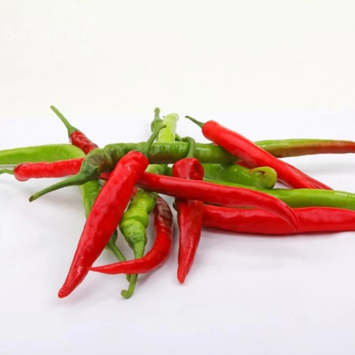 Атакама F1 / Atakama F1,75-80 дней фото 1