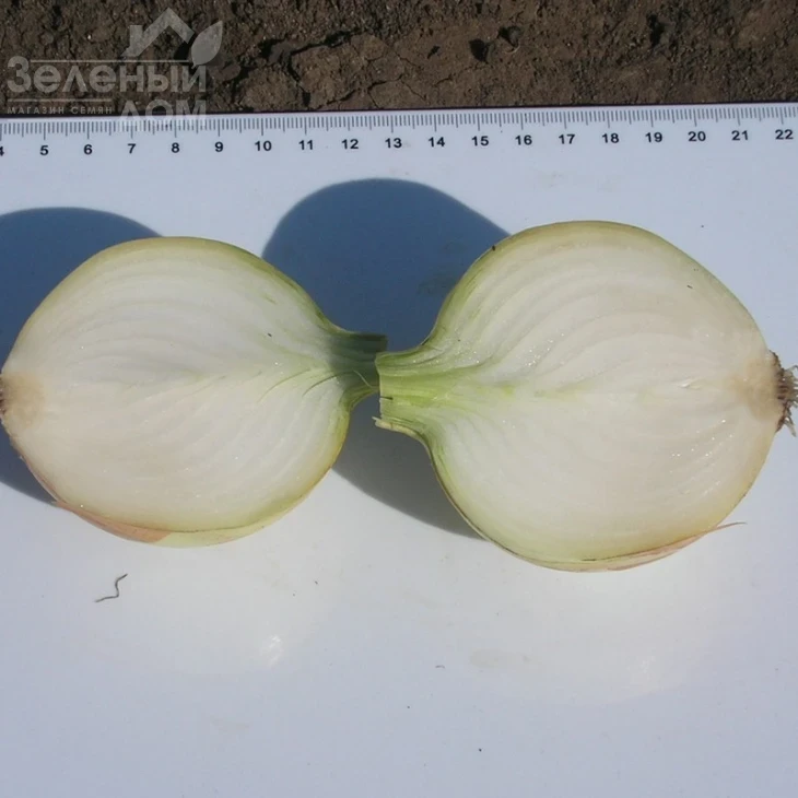 Испаньол / Ispanyol, 115 дней фото 2