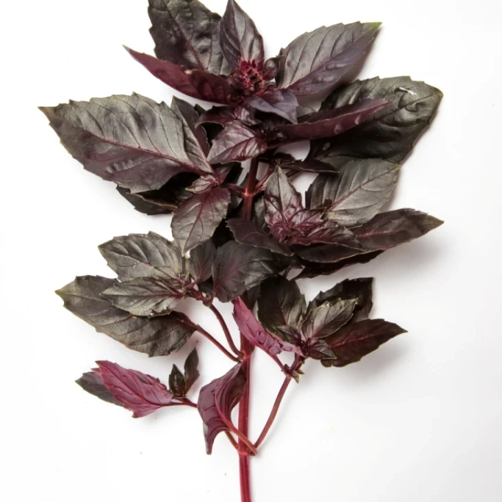 ЛС 2712 / LS 2712 фото 2