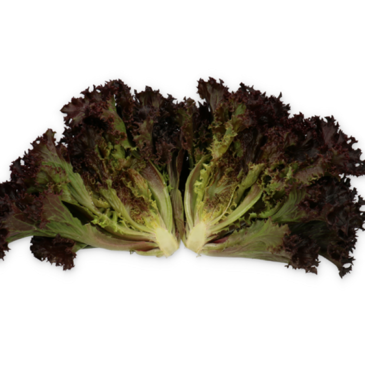 Скамандер / Scamander фото 3