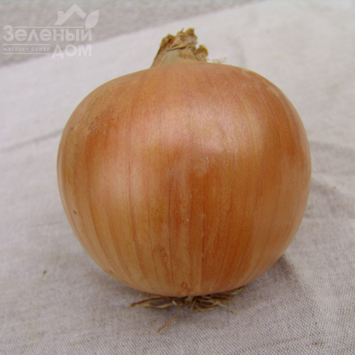 Уніко F1 / Uniko F1 фото 1