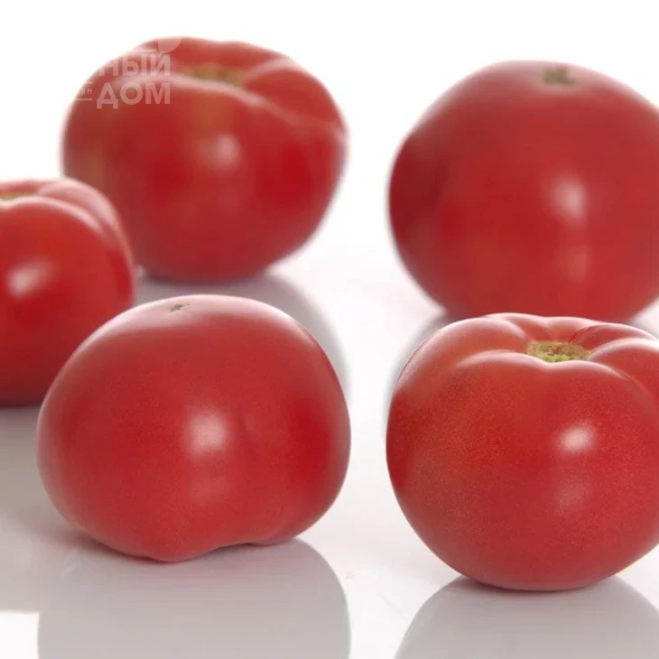 Пинк Мун F1 / Pink Moon F1 фото 2