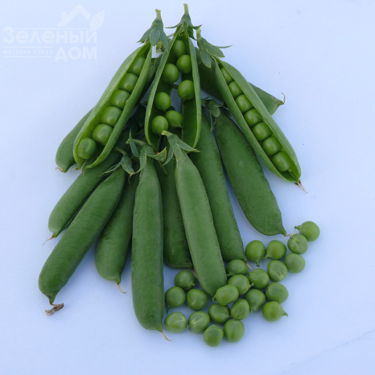 Тіара / Tiara,50-55 днів фото 1