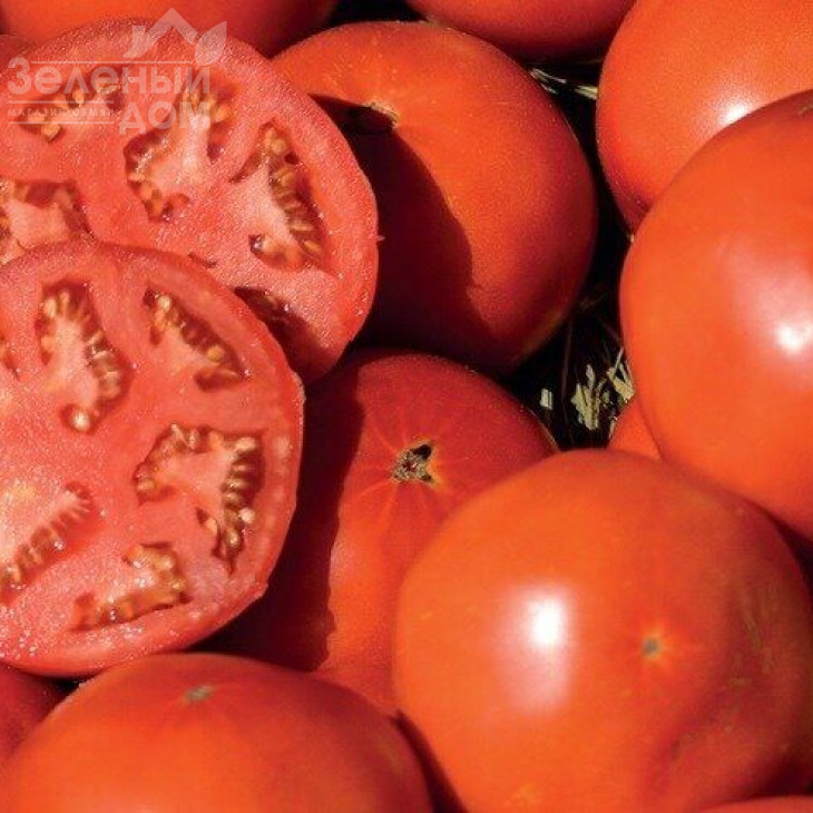 Майсалун F1 / Maysalun F1,105-115 днів фото 1