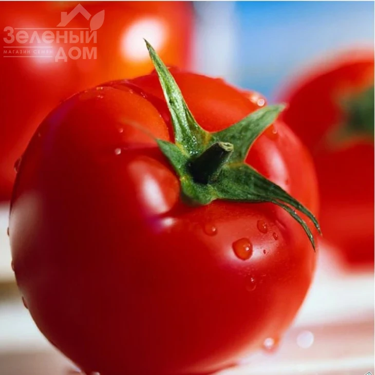 Волна F1 / Volna F1,75-78 дней фото 1