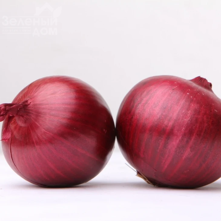 Рубиред F1 / Rubired F1 фото 1