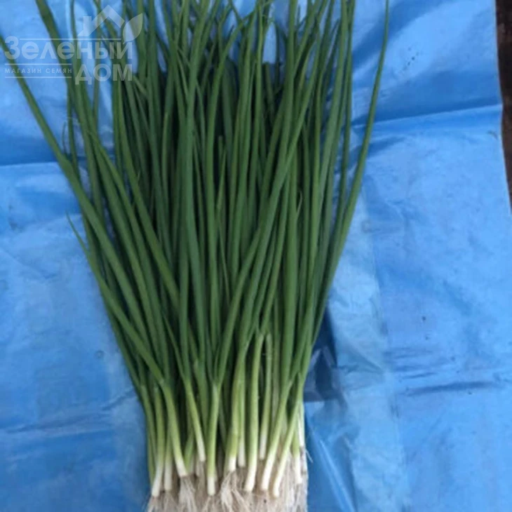 Гринпик F1 / Grinpik F1 фото 4