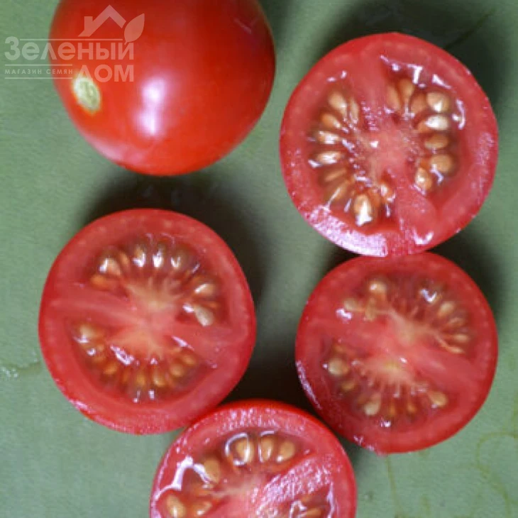 Старскрим F1 / Starskrim F1,95 дней фото 2