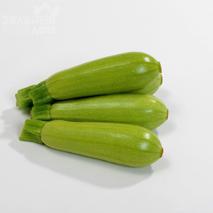 Хіба F1 / Hiba F1, 32-35 днів фото 3