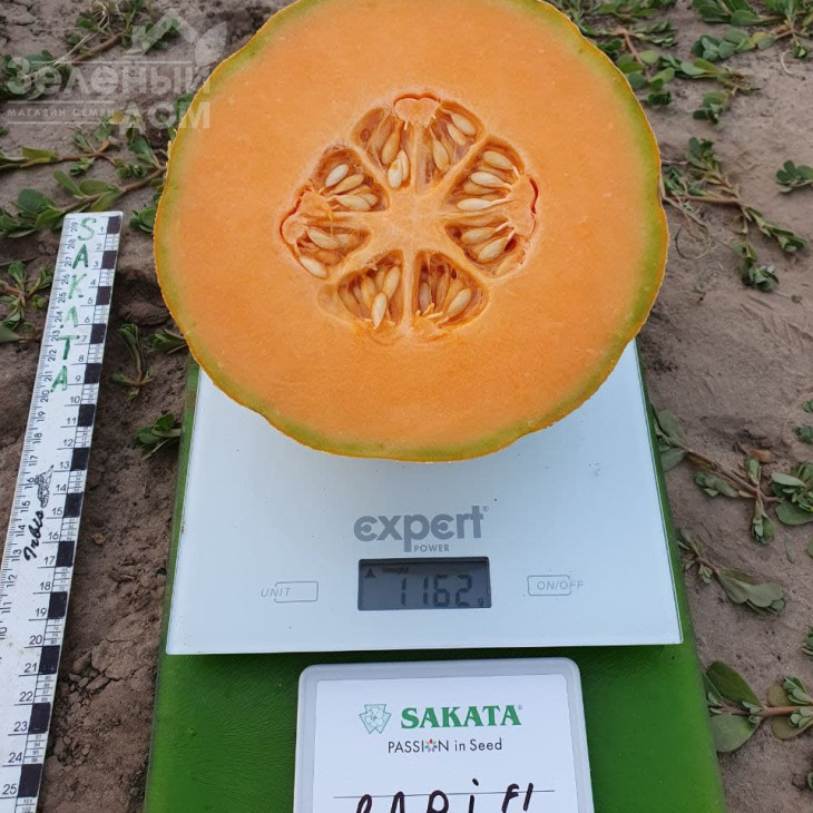 Барі F1 / Bari F1 фото 1