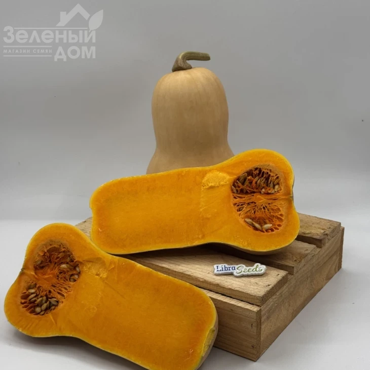 Скарлет F1 / Skarlet F1,100-110 дней фото 2