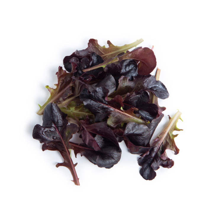 Боттас / Bottas фото 1