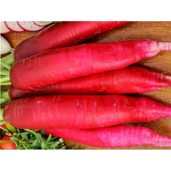 Кармина / Karmina,40-50 дней фото 1