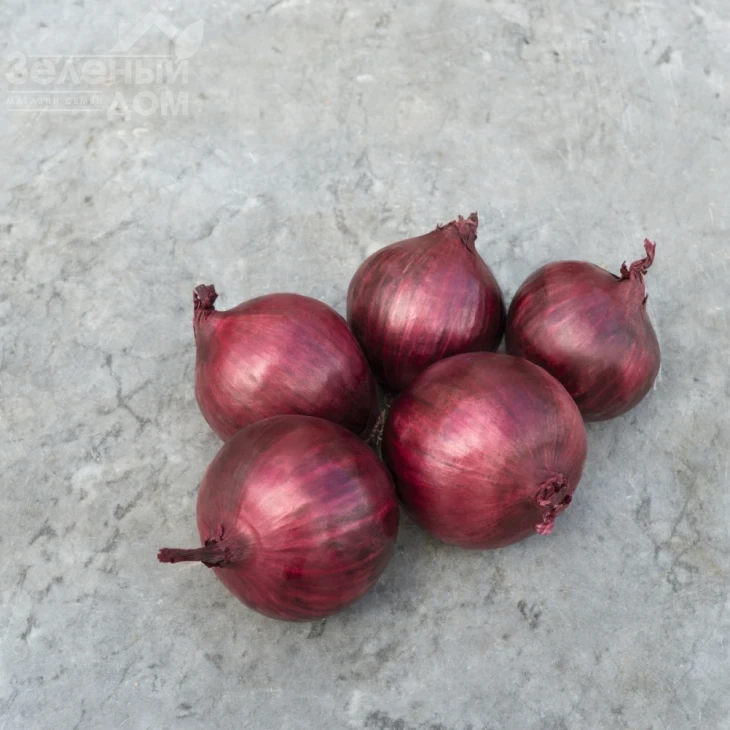 Ред Рум F1 / Red Rum F1,112 дней фото 2