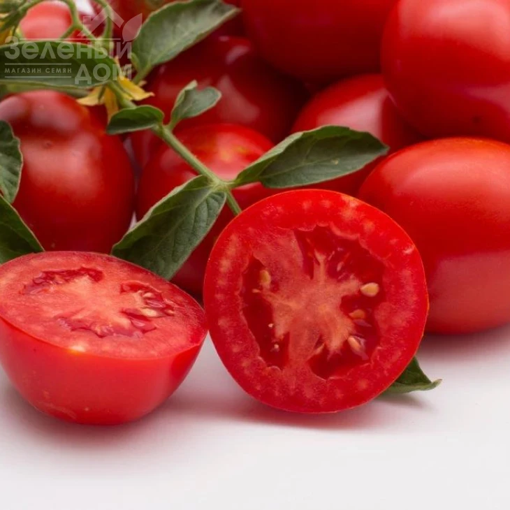 Чезена F1 / Chezena F1, 85-95 дней фото 3