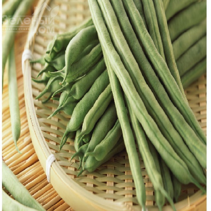 Пайк / Paik фото 1