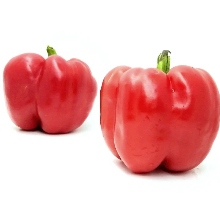 Диагорас F1 / Diahoras F1 фото 6