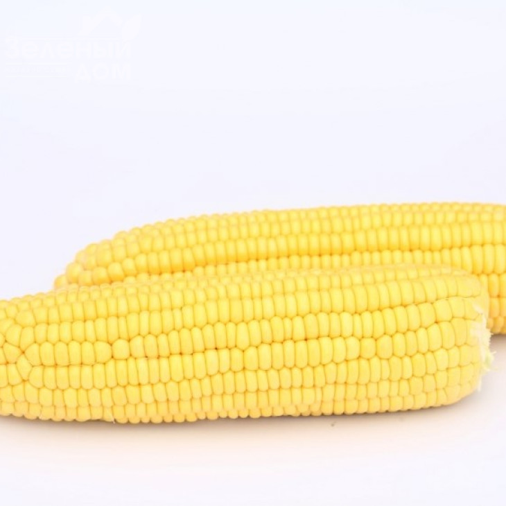 Баха F1 / Baha F1,70-74 дні фото 1