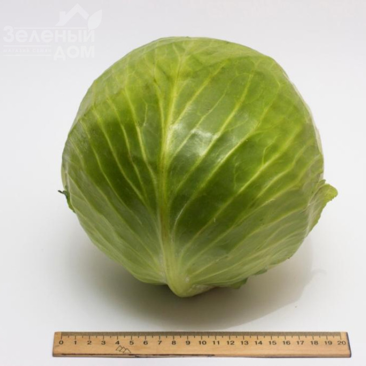 Рітейл F1 / Retail F1, 120-130 днів фото 1