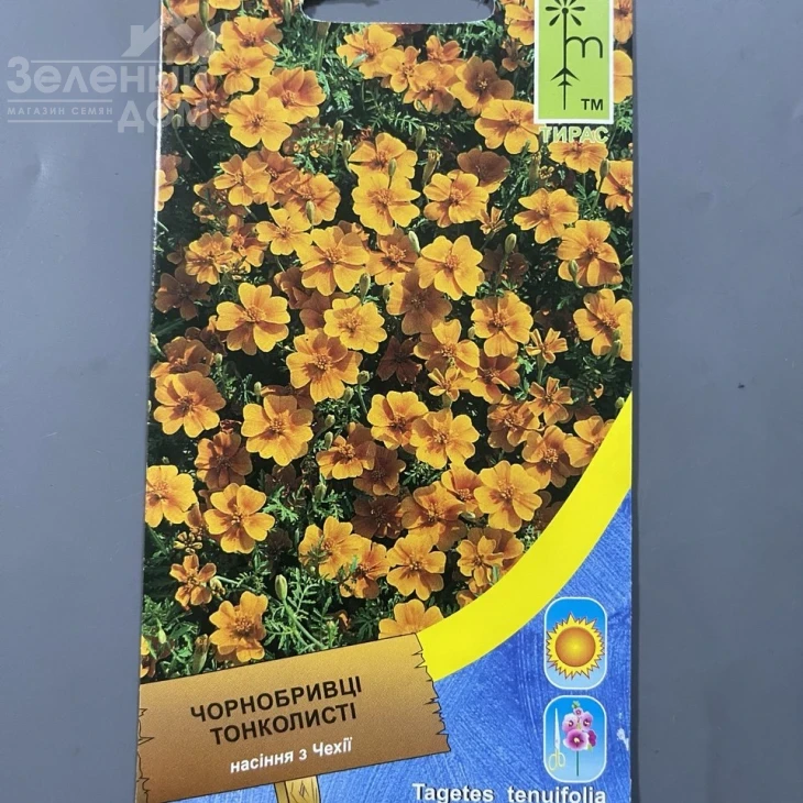 Бархатцы тонколистные Оранжевые фото 1