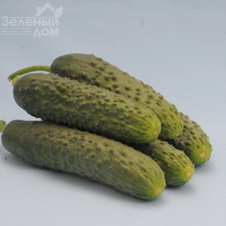 Везунчик F1 / Vezunchik F1,40-45 дней фото 1