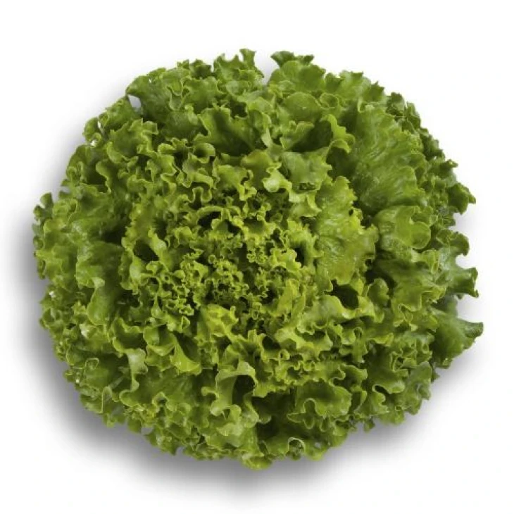 ИСИ 45304 / ISI 45304 фото 1