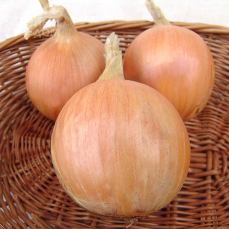 Тріумф F1 / Triumf F1,120-123 дні фото 1