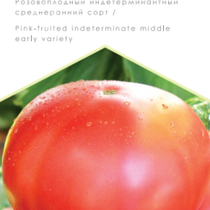 Дикая роза / Dikaya roza, 107-110 дней фото 1