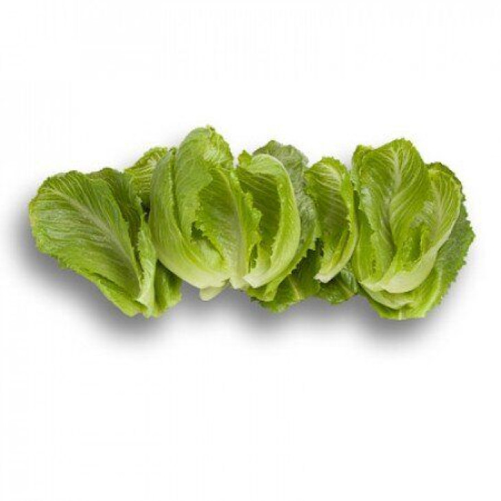 Крунчіта / Crunchita фото 3