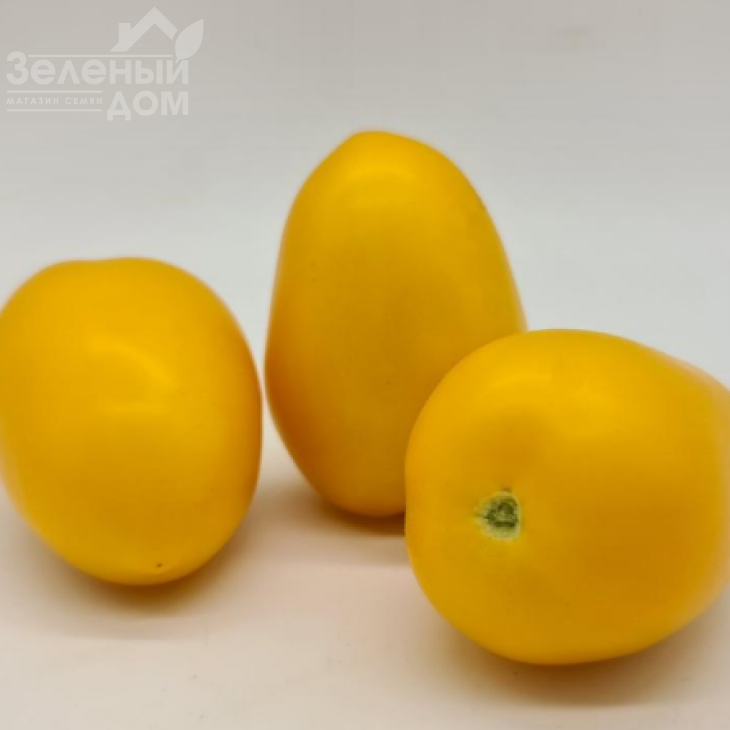 КС 221 F1 / KS 221 F1 фото 3