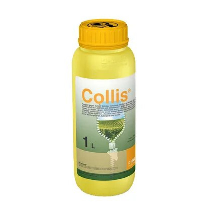 Колліс / Collis, КС фото 1