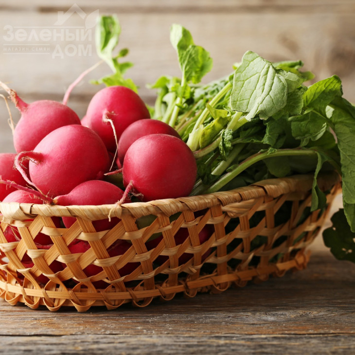 Соляріс F1 / Solyaris F1 фото 1