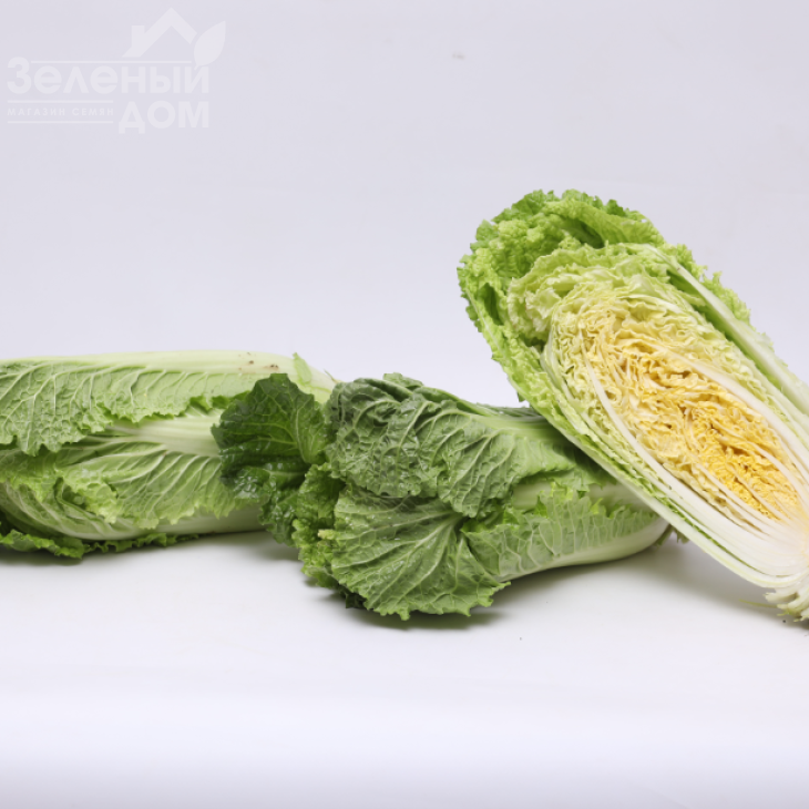 Прімадонна F1 / Primadonna F1 фото 1