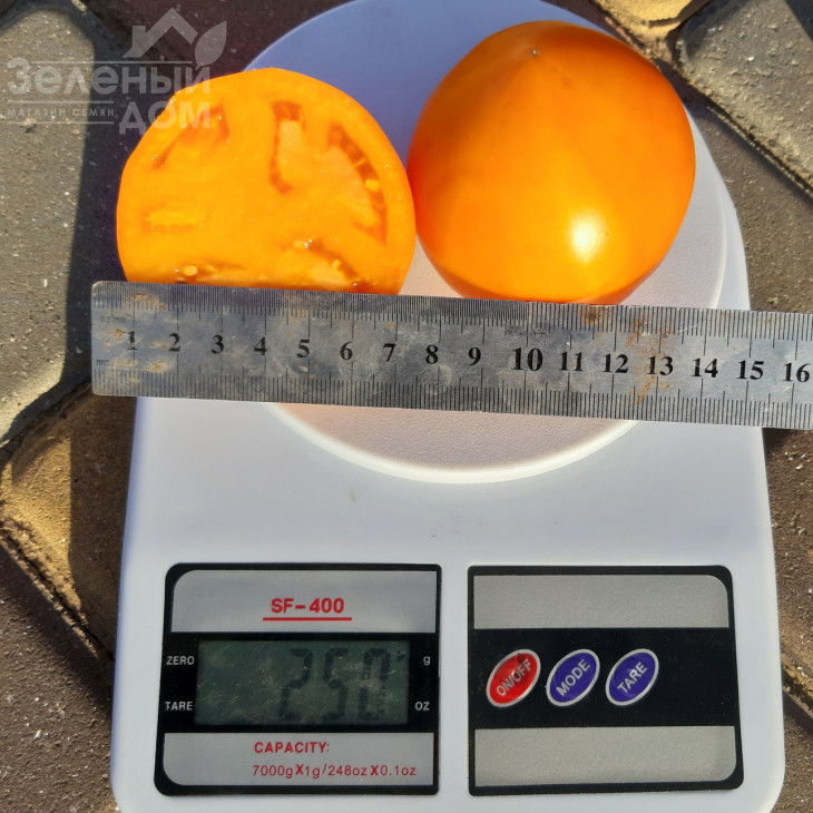 Рані F1 / Rani F1, 62-65 днів фото 4