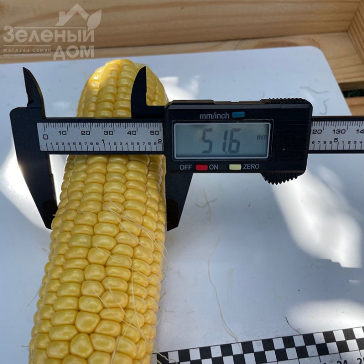 Рапід F1 / Rapid F1,62 дні фото 4