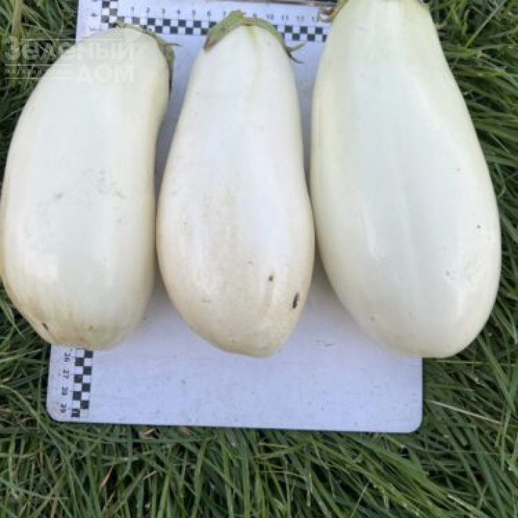 Міракл F1 / Miracle F1 фото 1