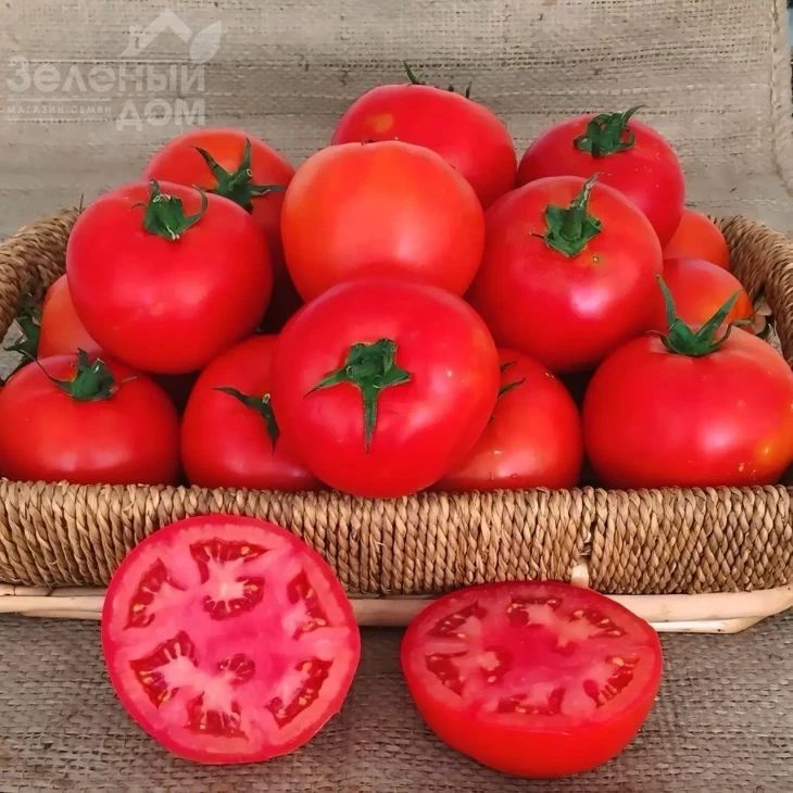 Оскар F1 / Oskar F1 фото 1