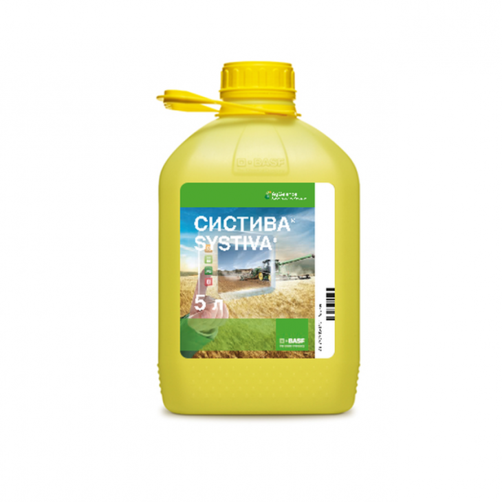 Систіва / Systiva, ТН фото 1