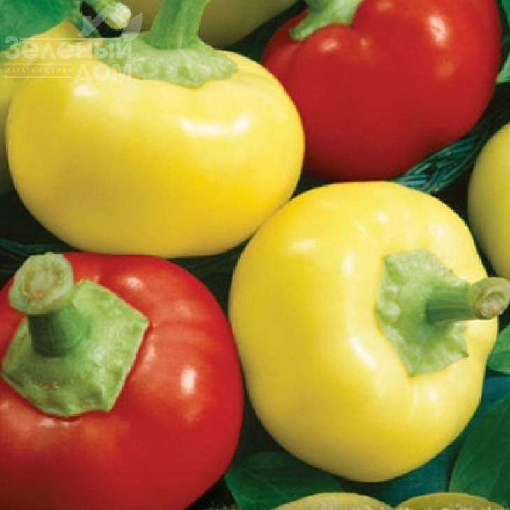 Палінда F1 / Palinda F1,70-80 днів фото 1