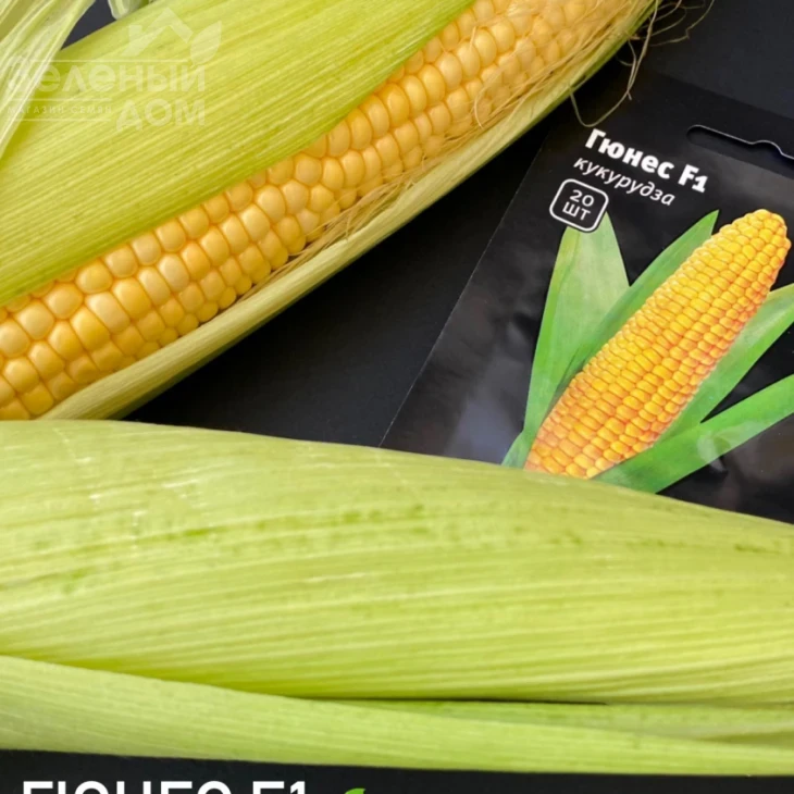 Гюнес F1 / Hyunes F1 фото 2