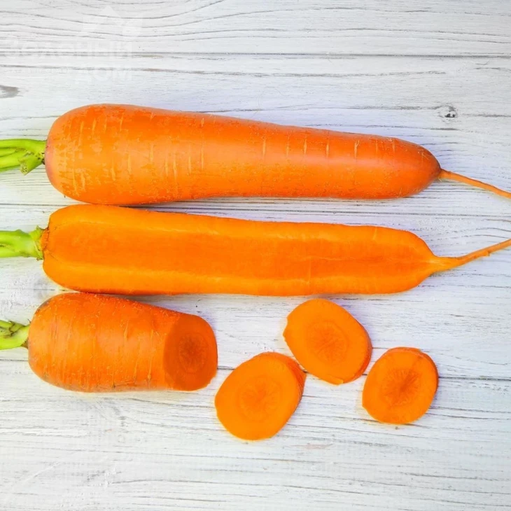 Титан F1 / Titan F1,90 дней фото 3