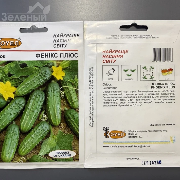 Феникс Плюс / Feniks Plyus фото 1