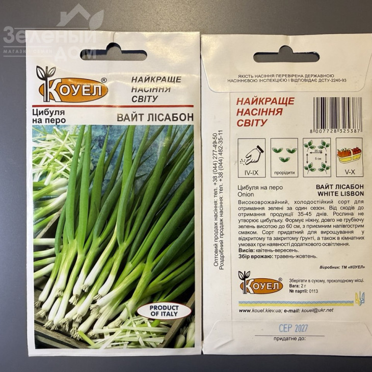 Вайт Лісабон / White Lisabon, 35-45 днів фото 2