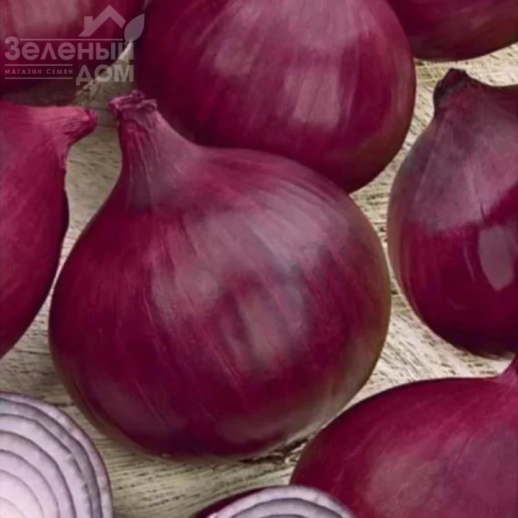 Фиамма F1 / Fiamma F1 фото 1