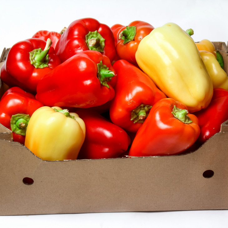 Боярд F1 / Boiyard F1,70-75 днів фото 2