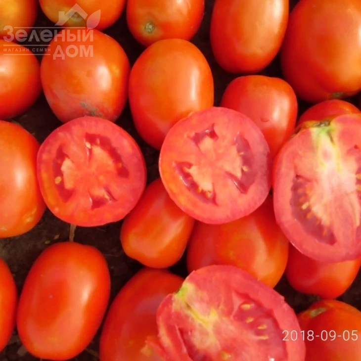 Салерно F1 / Salerno F1, 110-115 дней фото 2